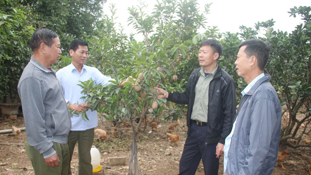 Bắc Giang: 5 huyện, TP thành lập tổ dân vận cộng đồng tại các thôn, bản, tổ dân phố